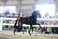 AJB_0282
