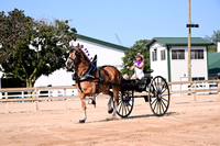 AJB_4527