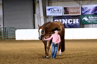 53 Youth Aged Mares