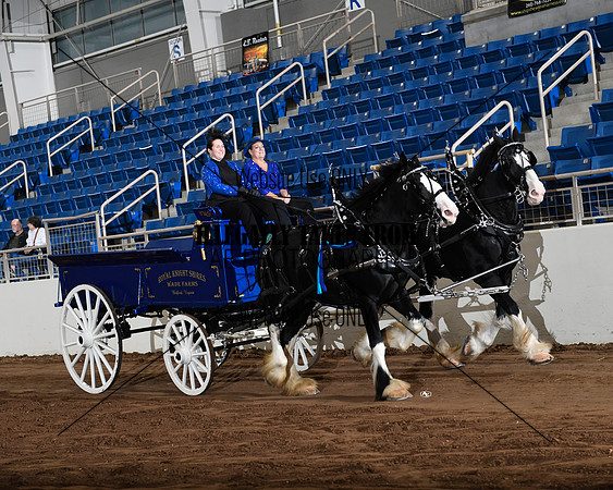 Shires_5268