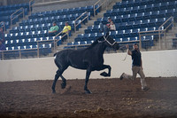 Supreme Draft Horse