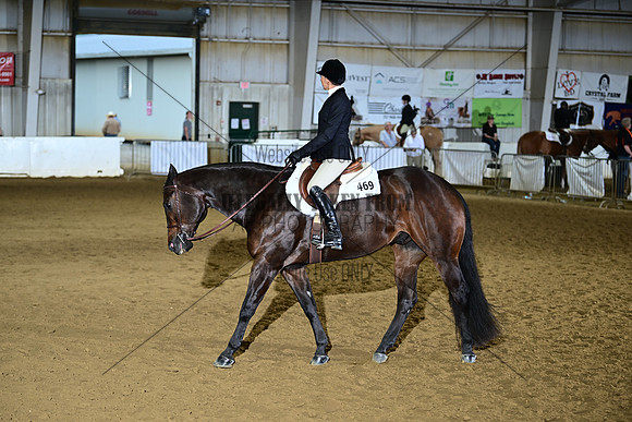 AJB_0134