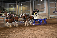 Clyd-Shire 4-Horse Hitch
