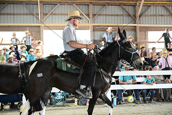 AJB_0209