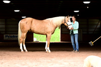 AJB_3622