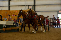 Farm Team-3