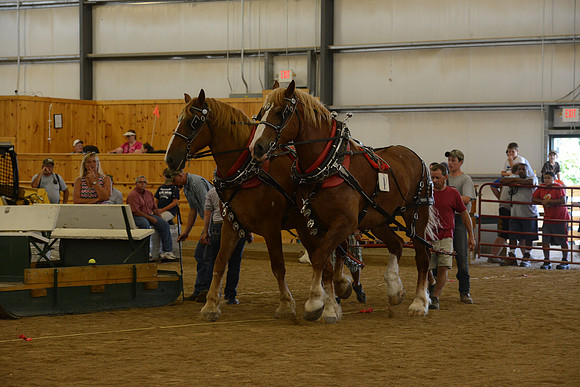Farm Team-3