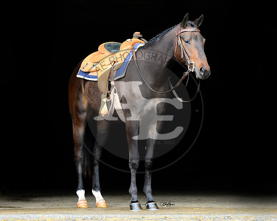 Indy_PSU2_4523