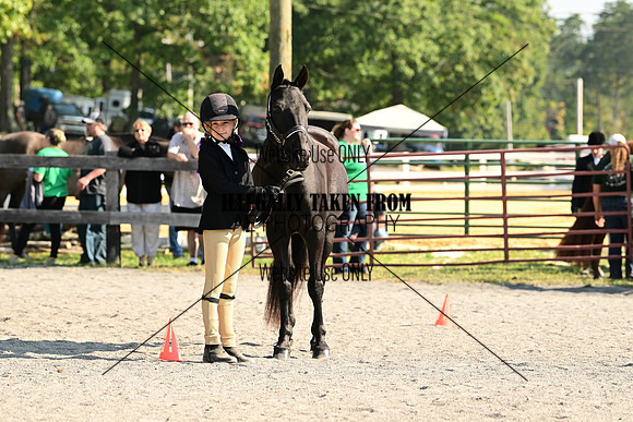 AJB_0297