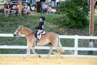 AJB_1304