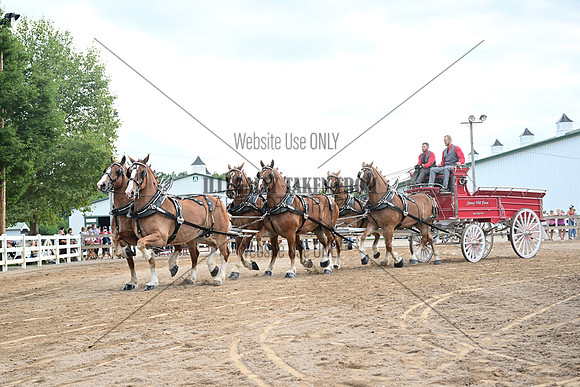 AJB_0624