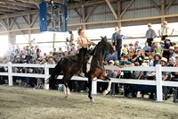 AJB_0270