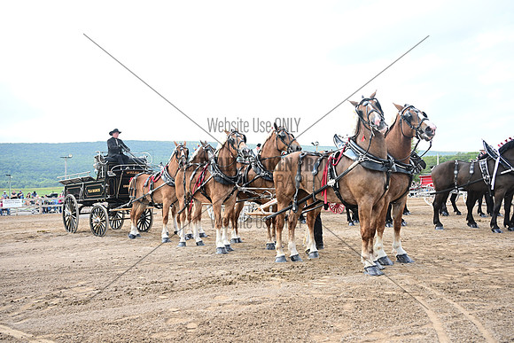 AJB_0560