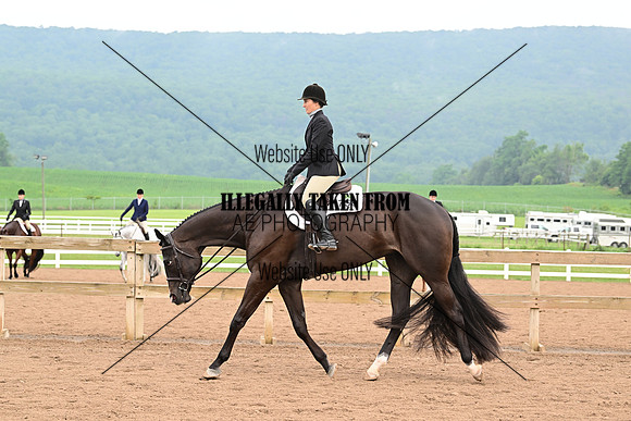 AJB_6197