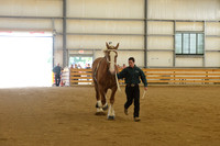 Sr. Youth Showmanship-7