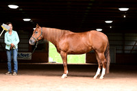 AJB_3626