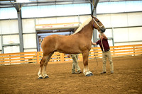 AJB_5939