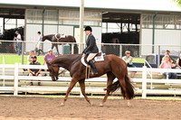 AJB_6449