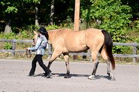 AJB_2079