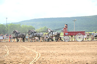 AJB_0429