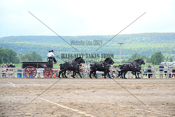 AJB_0608