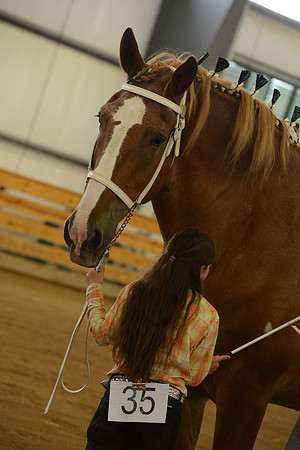 Jr. Youth Showmanship-38