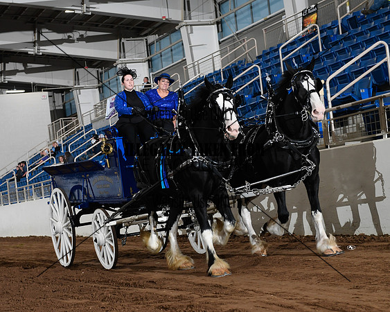 Shires_5065