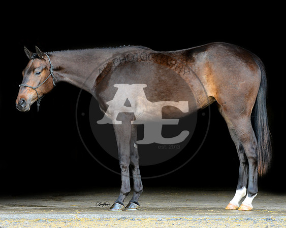 Indy_PSU2_4485