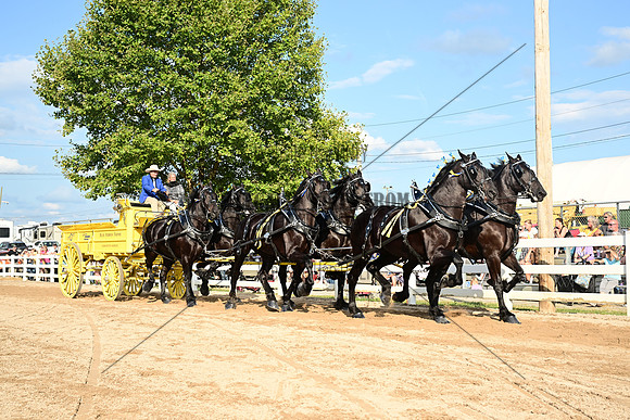 AJB_0492