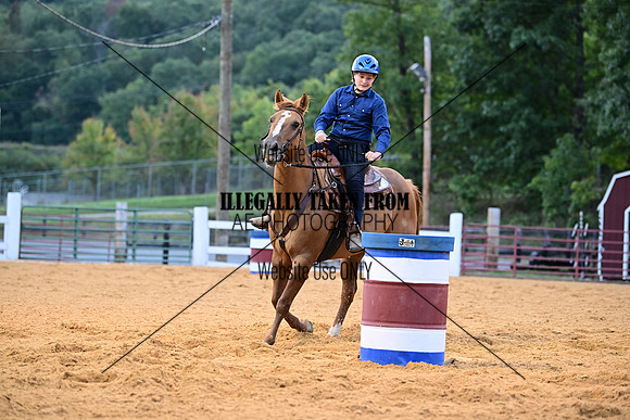 AJB_3595