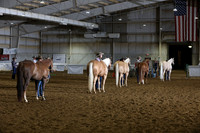 160. Amateur Ranch Conformation