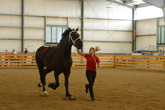 Jr. Youth Showmanship-21