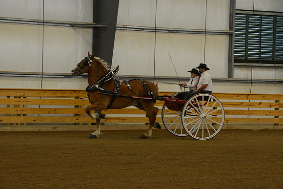 Jr. Youth Cart-12