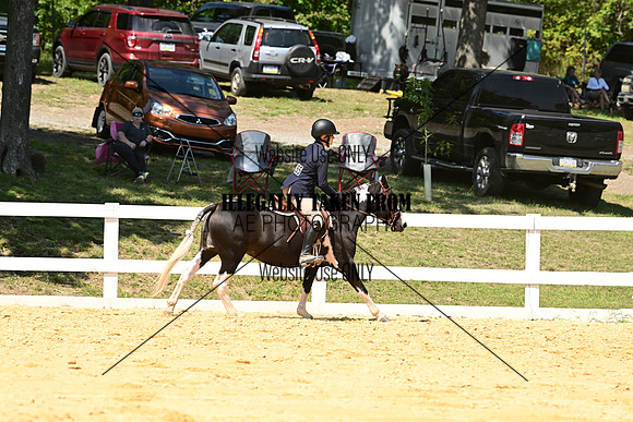 AJB_0785