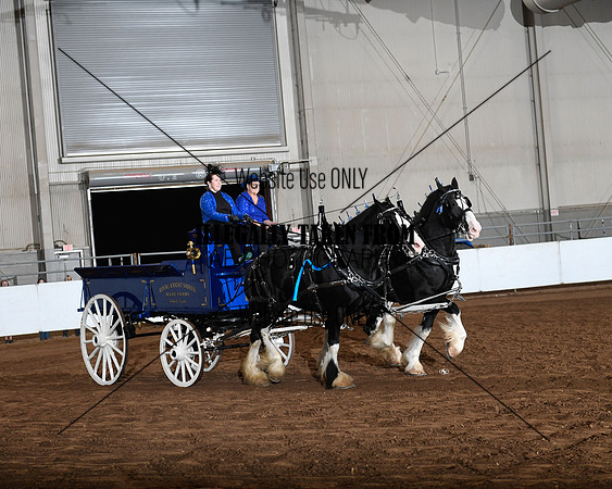 Shires_5261