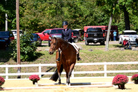 AJB_2353