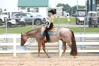 Level 1 Amateur Western Pleasure