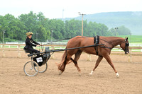 AJB_6001
