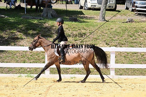 AJB_0818