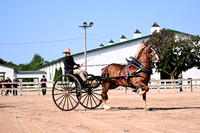 AJB_4547