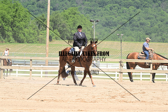 ASH_4527