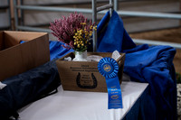 Unicorn Hitch - Registered Mares