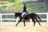 AJB_1533