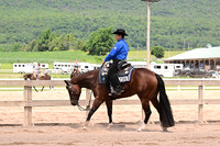 AJB_9017
