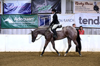 83 Youth Hunter Under Saddle 14-18