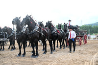 AJB_0558