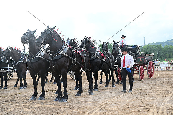 AJB_0558
