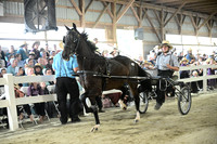AJB_0688