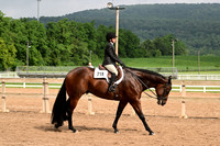 AJB_6562