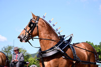 AJB_4857
